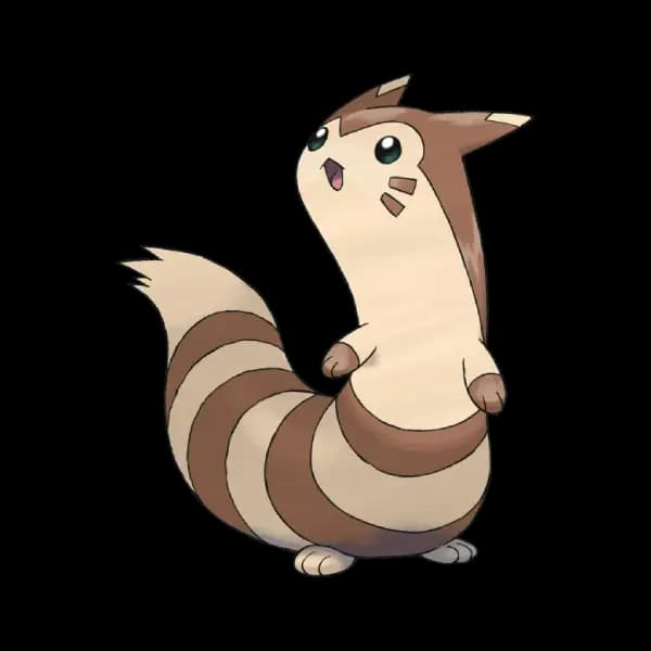 Furret